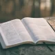 Devotionals from this week’s sermon