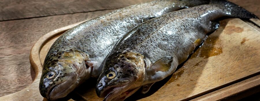 fresh rainbow trout on wooden cutting board