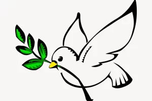 Dove, peace symbol clipart, illustration