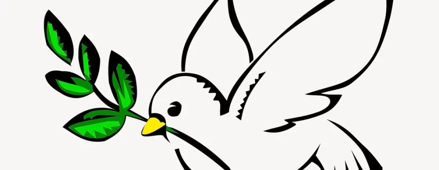 Dove, peace symbol clipart, illustration