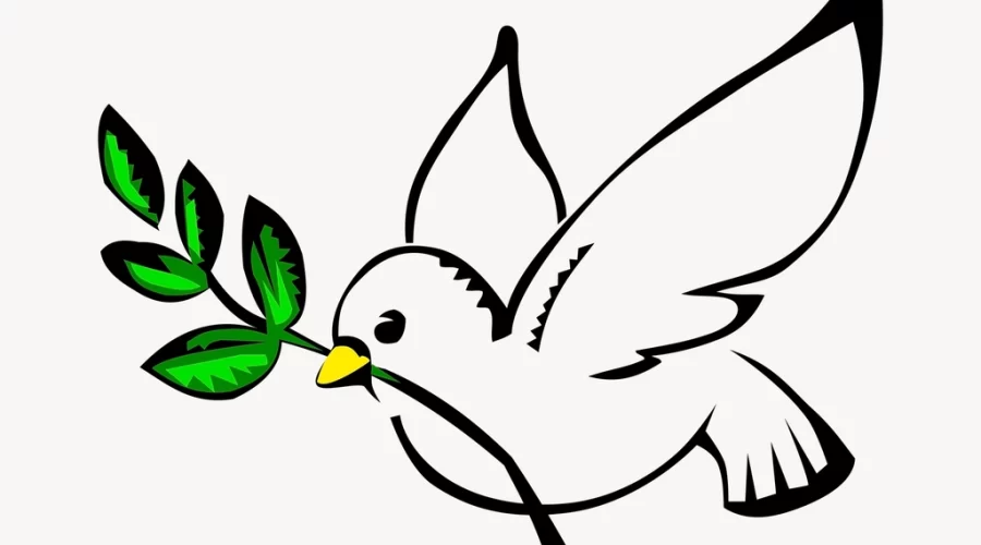 Dove, peace symbol clipart, illustration