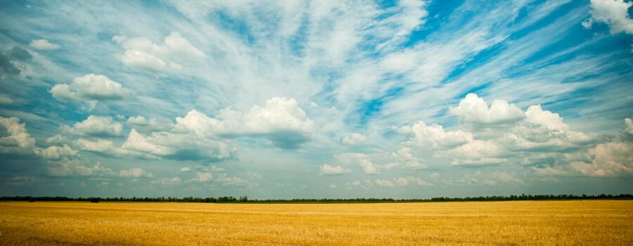 photo of grass field
